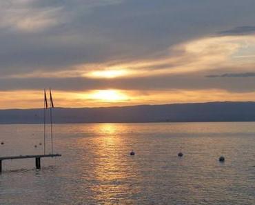 Flâneries au bord du Léman