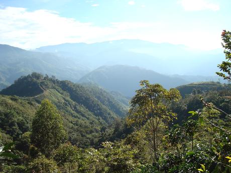 La région de Tarrazú produit l’un des cafés les plus fins au monde La région de Tarrazú produit l’un des cafés les plus fins au monde