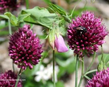 Au jardin : fleurs et papillons