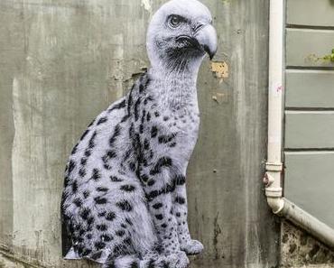 Silent Sunday 2017 #27