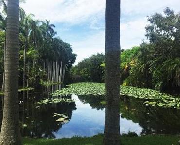 Bonnet House à Fort Lauderdale