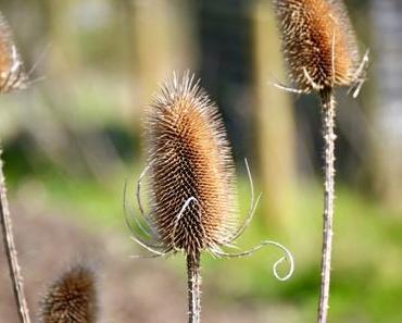 Project 52 season 3 #30