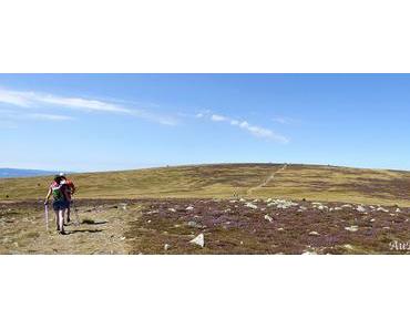 Étape 3 – Trek autour du Mont Lozère