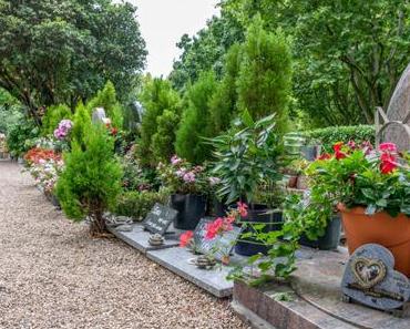 Le cimetière des chiens