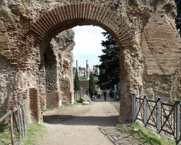 Project 52 season 3 #32