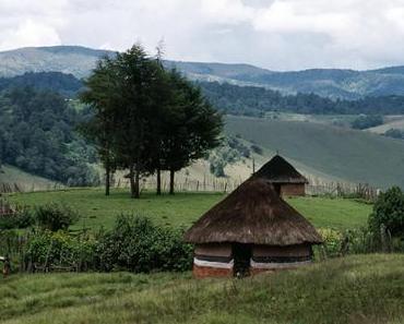 Table d’hôtes chez les Barnleys