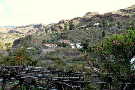 Gran Canaria de l’intérieur