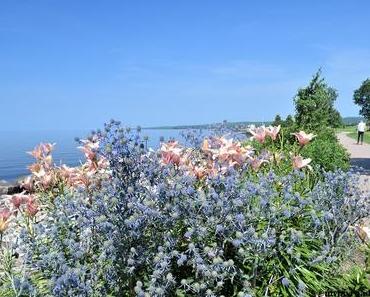 Road trip Canada (partie 1) de Montréal à Calgary