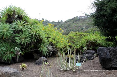 Gran Canaria côté jardin