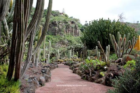 Gran Canaria côté jardin