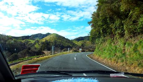 NZ – La « Forgotten World Highway »