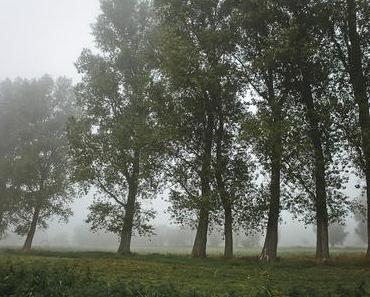 Mots pour septembre qui s'en va