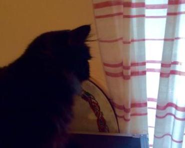 Friday Feelings #132