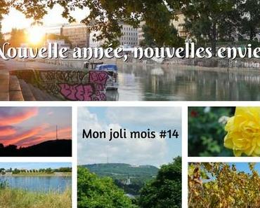 Nouvelle année, nouvelles envies (Mon joli mois... #14)