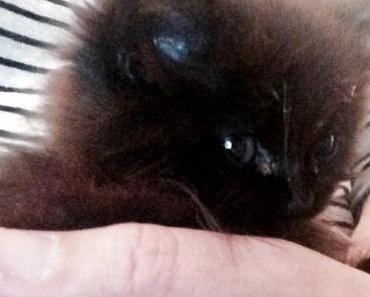 Friday Feelings #145