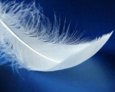 wallpaper-1689754