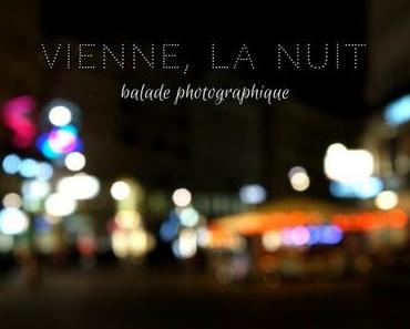 Vienne d'ombre et de lumière : balade nocturne