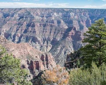 Grand Canyon, North Rim [Arizona]