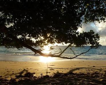 Les plages de Praslin