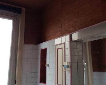 Le petit requin s’ébat dans la salle de bains