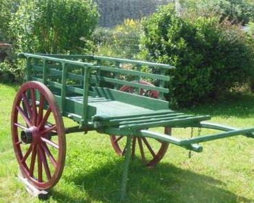 Le vin d’honneur municipal