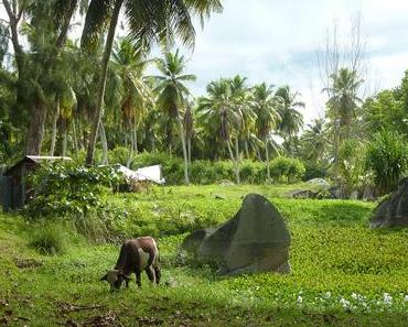Union Estate : Emmanuelle sur la plus belle plage des Seychelles