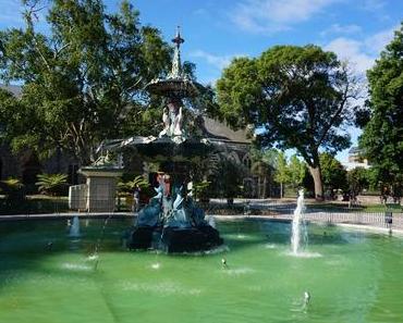 Nouvelle-Zélande : Akaroa – Le jour où on a nagé avec des dauphins