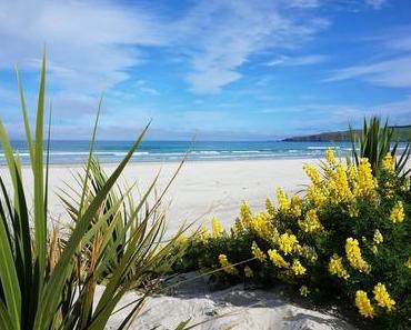 Nouvelle-Zélande : Dunedin – Péninsule d’Otago