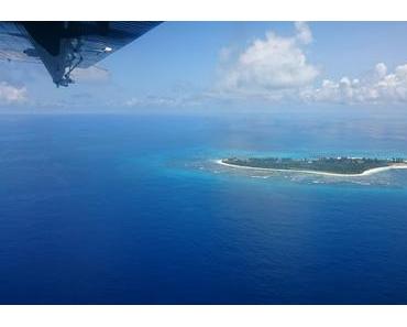 Bird Island : un petit bout de paradis...