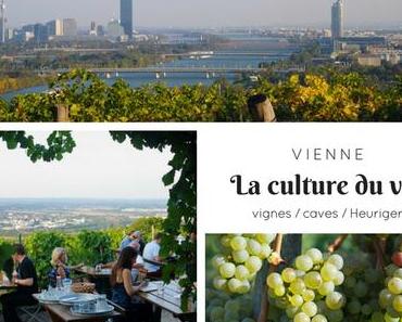 La culture du vin à Vienne : de la vigne aux Heuriger