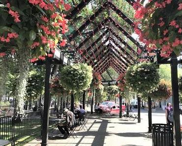 Visiter Calgary en une journée