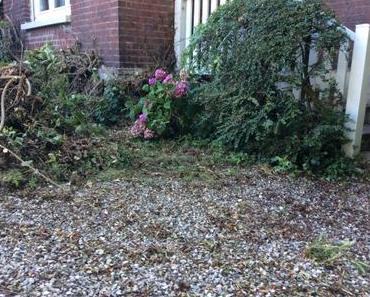 L’attaque de la jungle