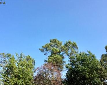 Sunny Monday #33
