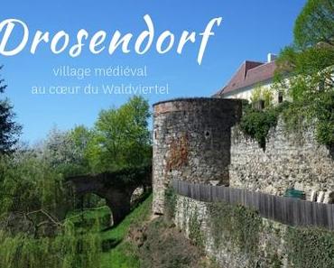 Basse-Autriche - Le village médiéval de Drosendorf