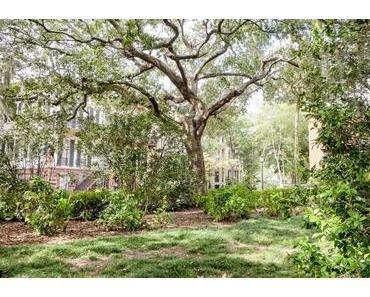 Visiter Savannah en Géorgie, nos incontournables pour un city trip