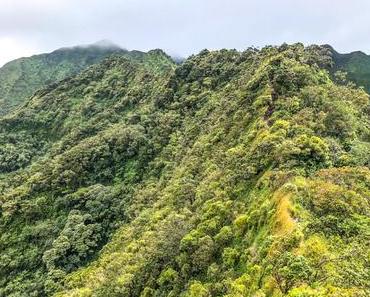 Moanalua Valley Trail, la randonnée légale pour accéder aux Haiku Stairs