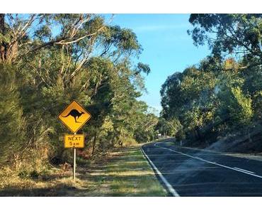 Comment préparer son road trip en Australie