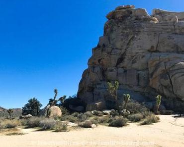{Joshua Tree} Hidden Valley Nature Trail