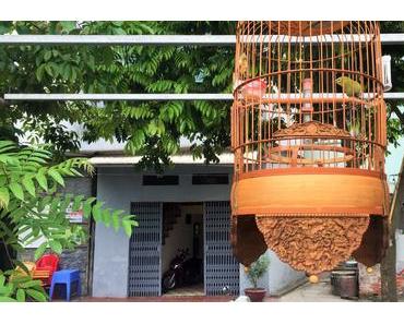 Canh Hoach, le village des cages à oiseaux