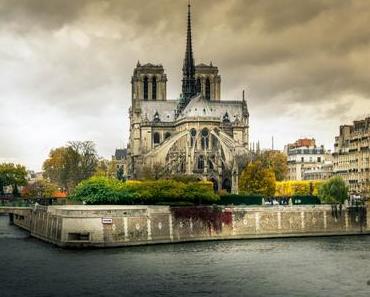 Hommage à Notre-Dame de Paris