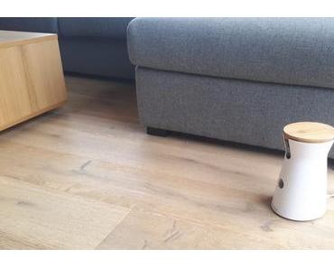 J’ai testé le Furbo : la caméra interactive pour chien