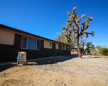Bienvenue chez nous, à Joshua Tree !
