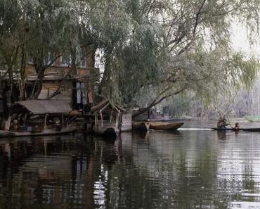 Jours d’automne à Srinagar