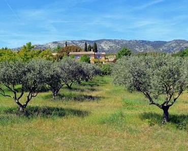 Pourquoi il faut découvrir Bédoin en Provence