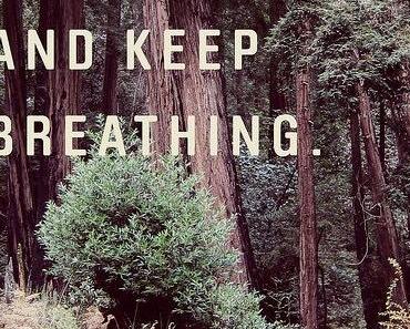 wallpaper-1689754