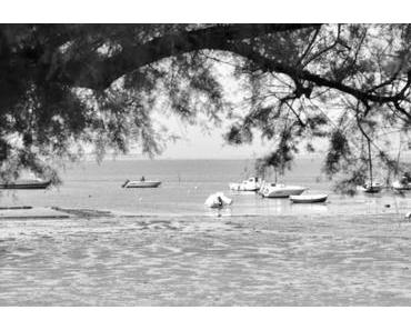 Friday Feelings #219