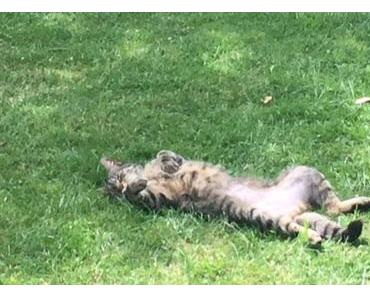 Friday Feelings #222