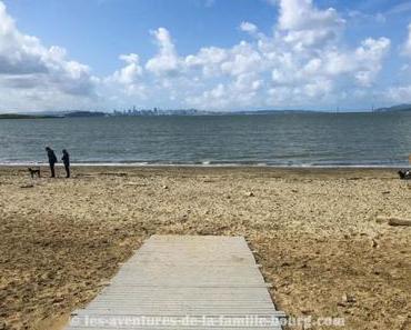 Albany Bulb, une décharge transformée en galerie d’art