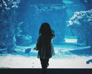 Comment occuper ses enfants pendant les vacances scolaires ?