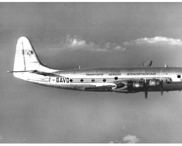 Moka au bar sur les marches glissantes à Borobudur